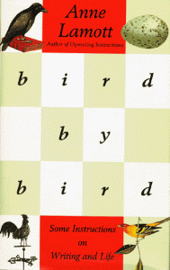 bird-by-bird